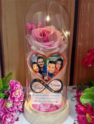 Cúpula Rosa rosada con retrato · Fotografía 2